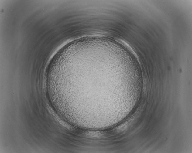 X0000083010835200702231810