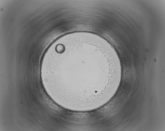 X0000083010836200702231810