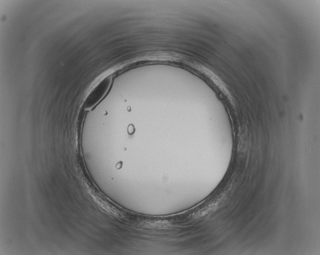 X0000083010837200702231810