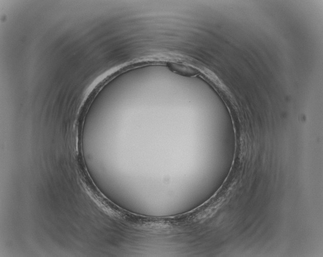 X0000083010838200702231810