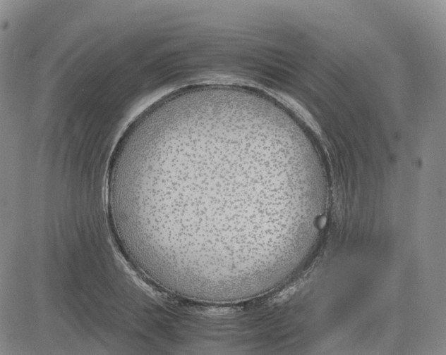 X0000083010839200702231810