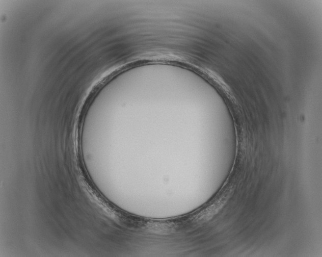 X0000083010840200702231810