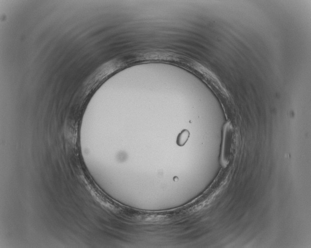 X0000083010841200702231810