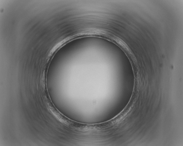 X0000083010842200702231810