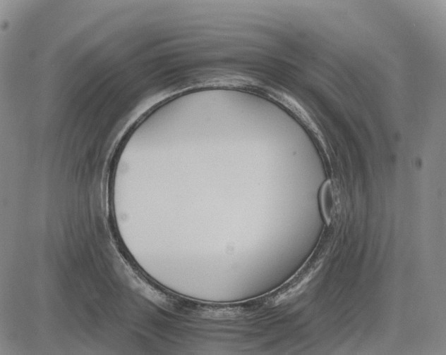 X0000083010843200702231810