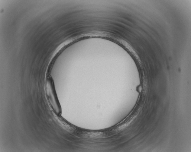 X0000083010845200702231810