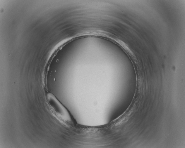 X0000083010846200702231810