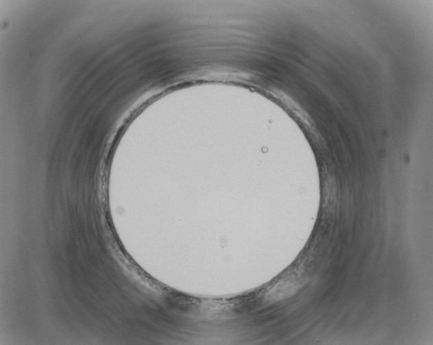 X0000083010848200702231810