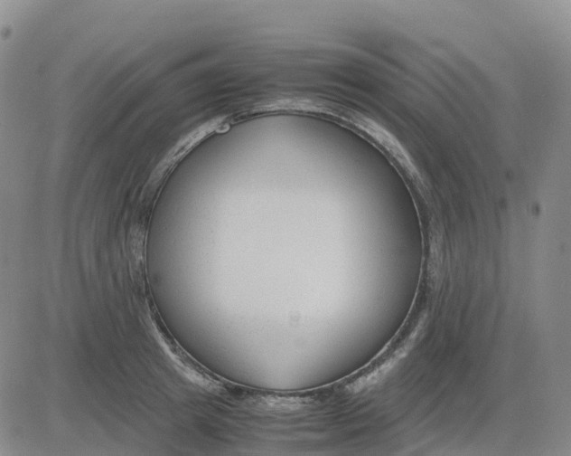 X0000083010849200702231810