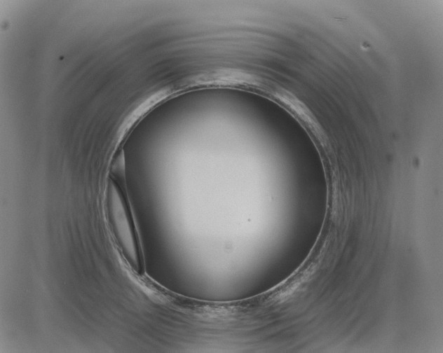 X0000083010850200702231810