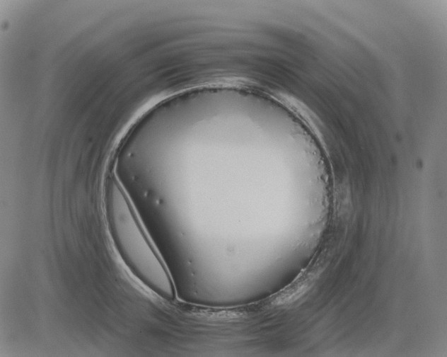 X0000083010851200702231810