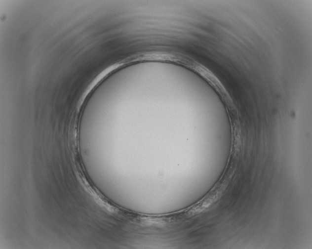 X0000083010852200702231810