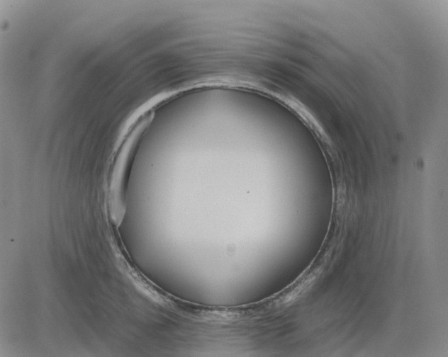 X0000083010854200702231810