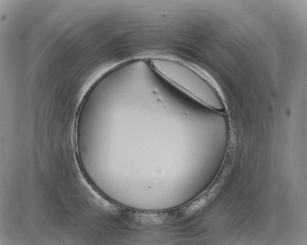 X0000083010855200702231810