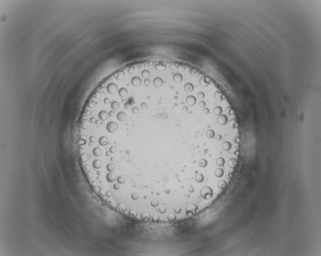 X0000083010856200702231810