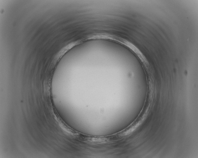 X0000083010857200702231810