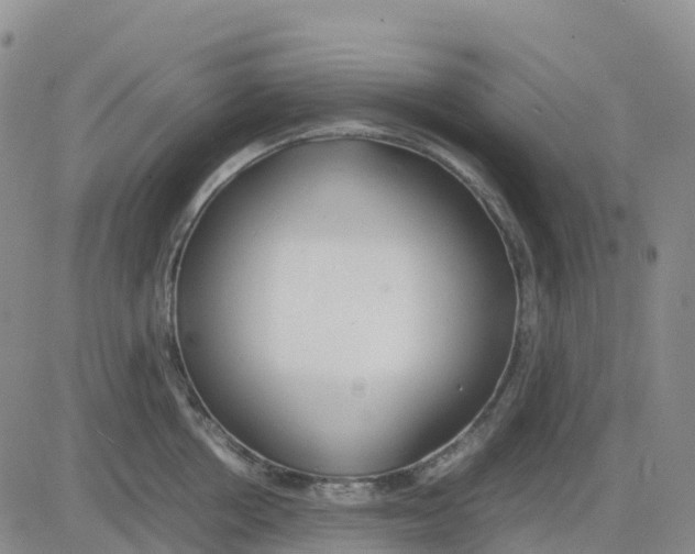 X0000083010858200702231810