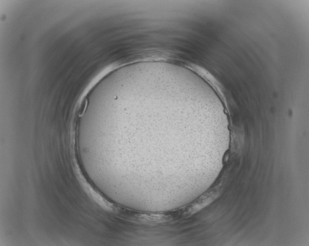 X0000083010859200702231810