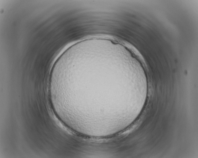 X0000083010860200702231810