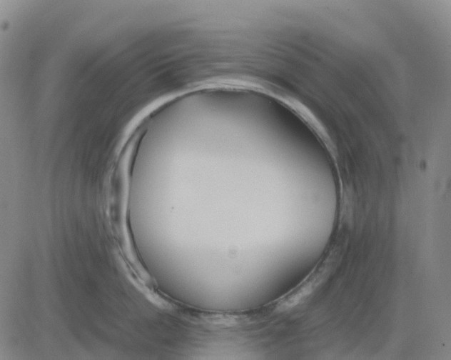 X0000083010862200702231810