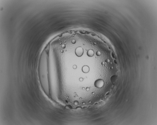 X0000083010863200702231810