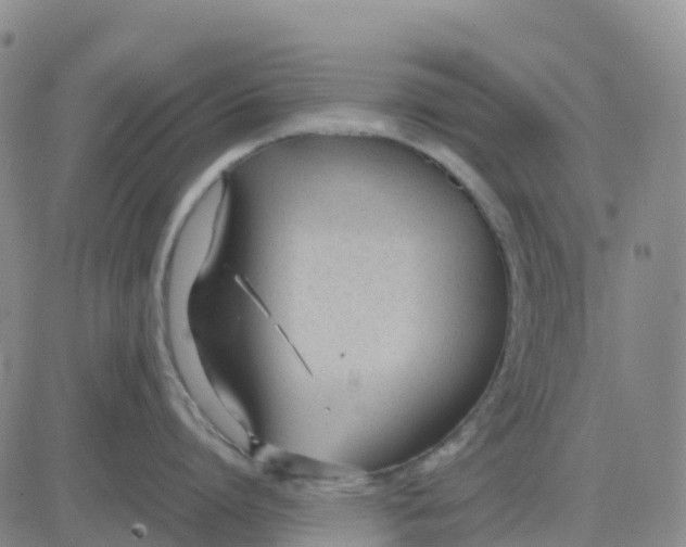 X0000083010864200702231810