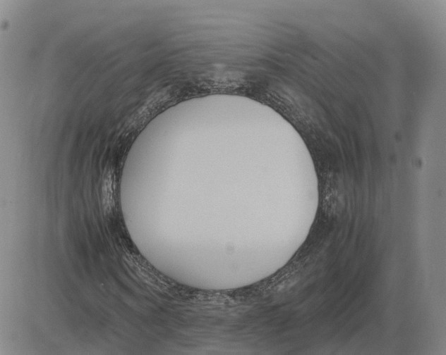 X0000083010866200702231810