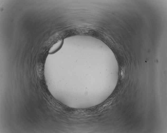 X0000083010867200702231810