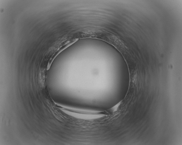 X0000083010868200702231810