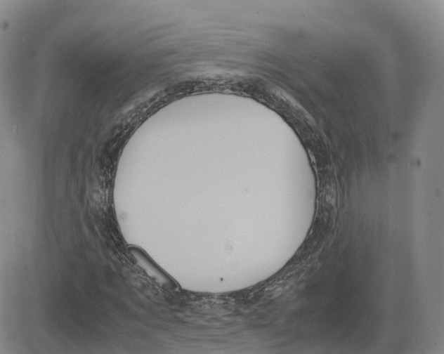 X0000083010869200702231810