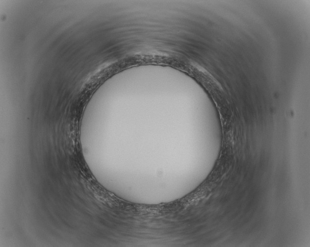 X0000083010870200702231810