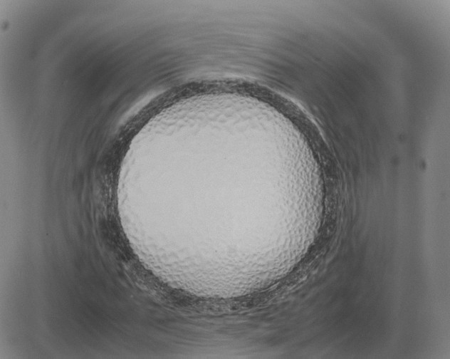 X0000083010871200702231810