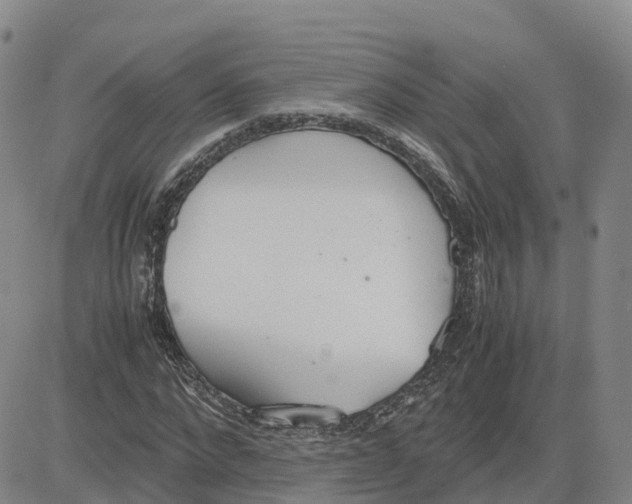 X0000083010872200702231810