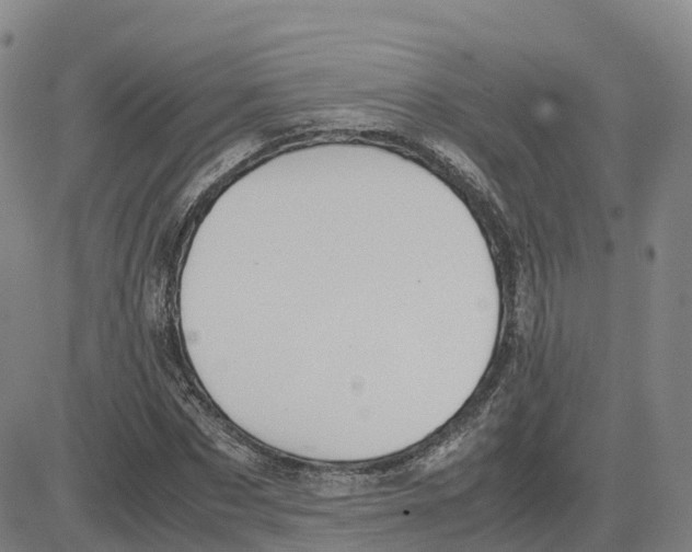 X0000083010873200702231810