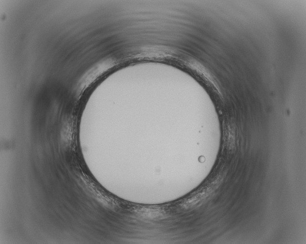 X0000083010874200702231810