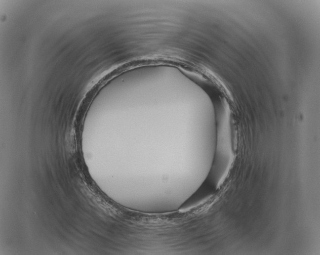 X0000083010876200702231810