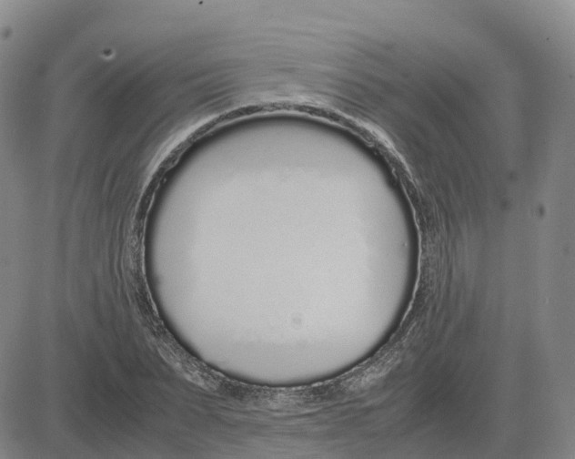 X0000083010879200702231809