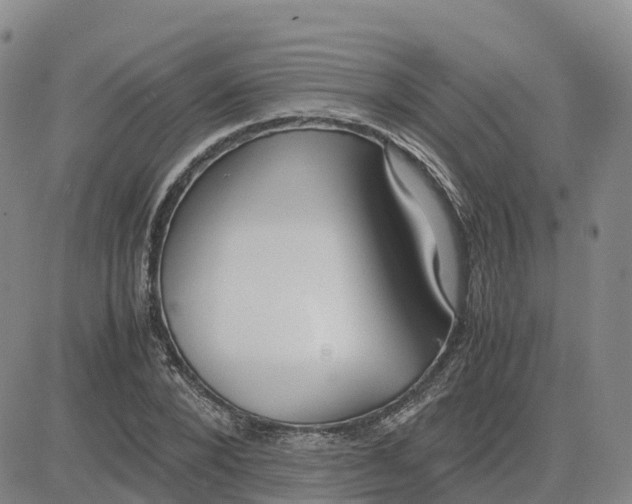 X0000083010880200702231809