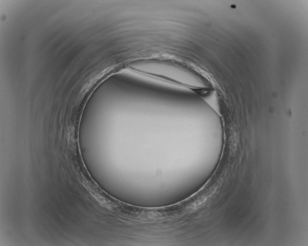 X0000083010881200702231809