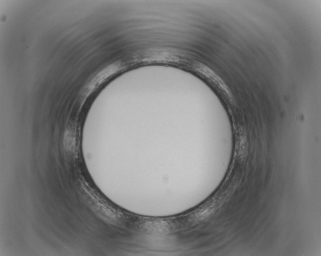 X0000083010882200702231809