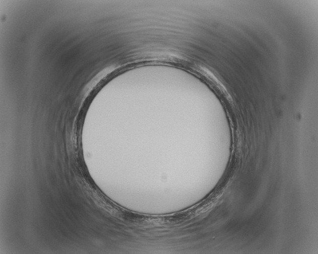 X0000083010883200702231809