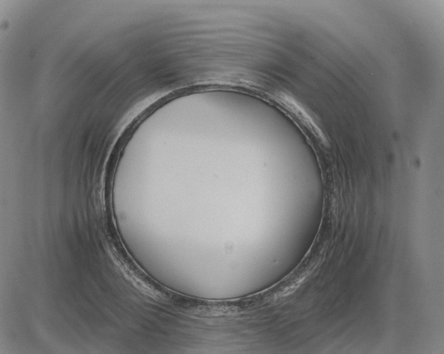 X0000083010884200702231809