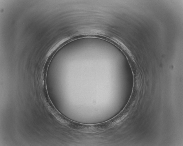 X0000083010885200702231809