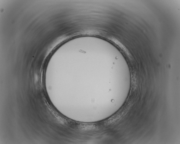 X0000083010886200702231809