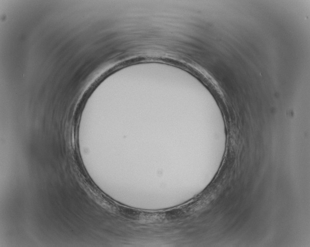 X0000083010887200702231809