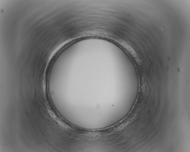 X0000083010888200702231809