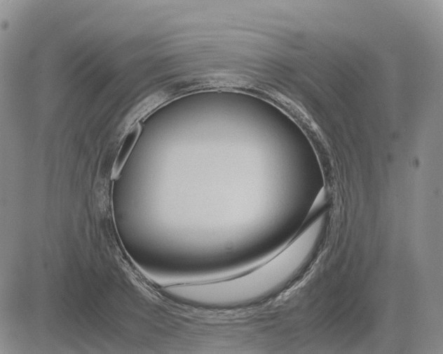 X0000083010889200702231809