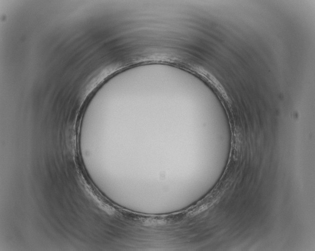 X0000083010890200702231809