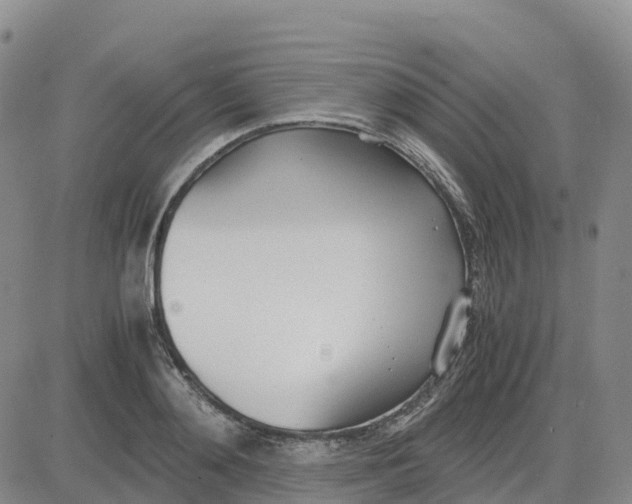 X0000083010892200702231809