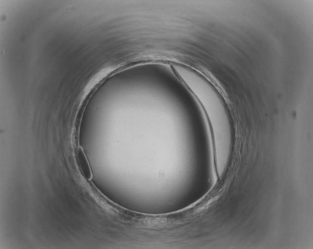 X0000083010893200702231809